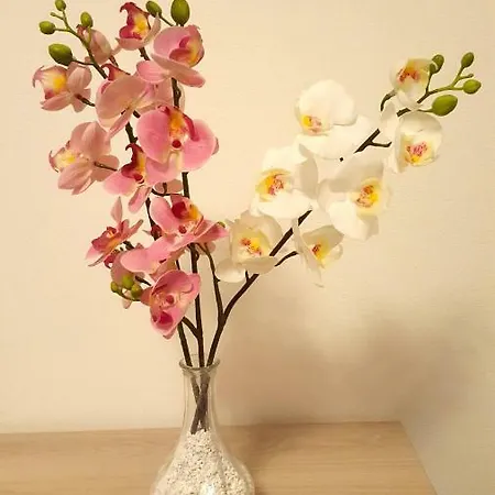 Casa Fugali フィレンツェ